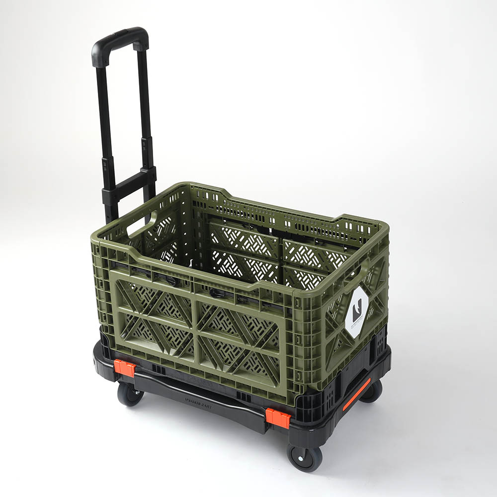 Transformer Transport Cart